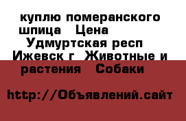 куплю померанского шпица › Цена ­ 10 000 - Удмуртская респ., Ижевск г. Животные и растения » Собаки   